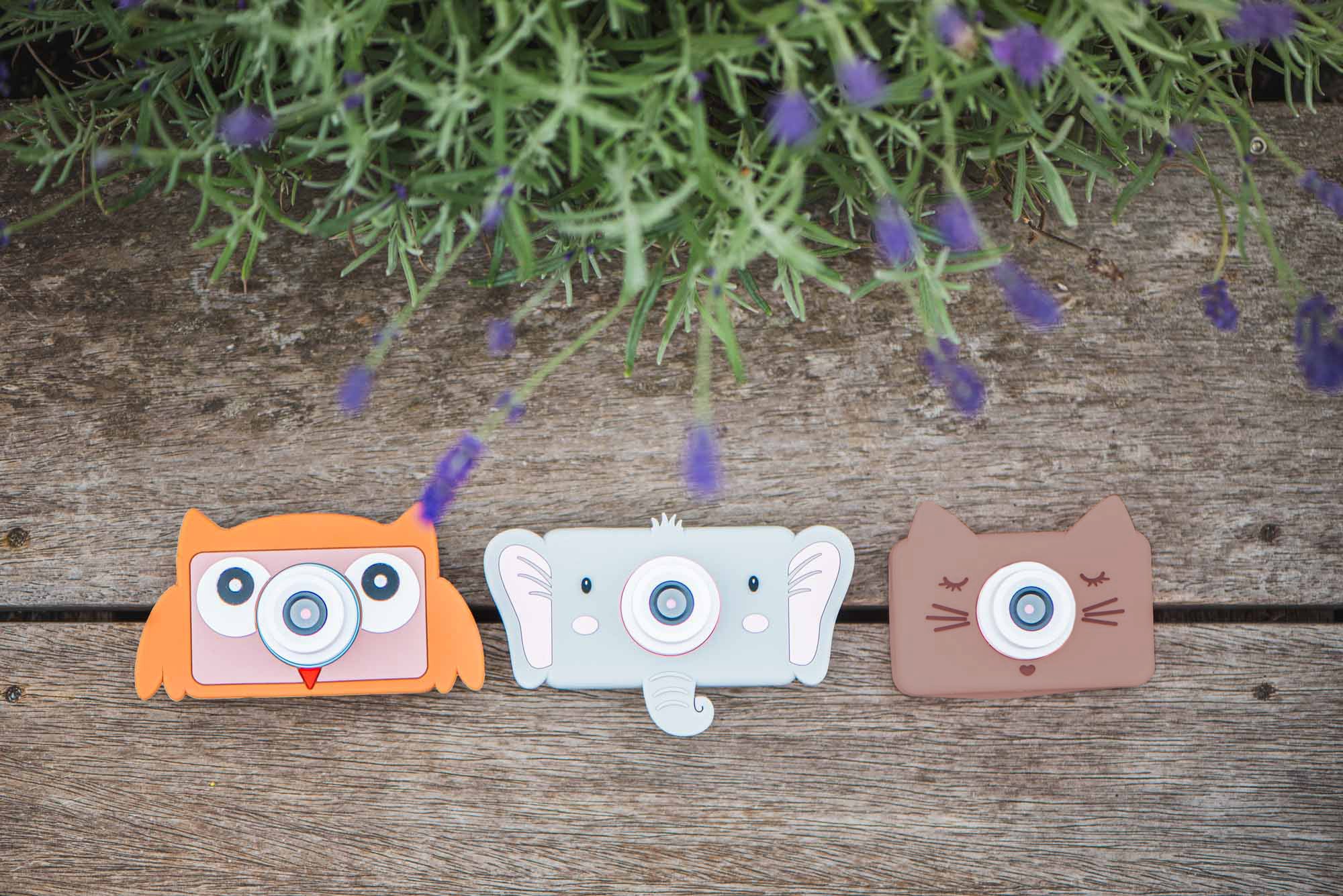mix of elephant, owl and cat kids digital cameras, lying on the terrace in the garden