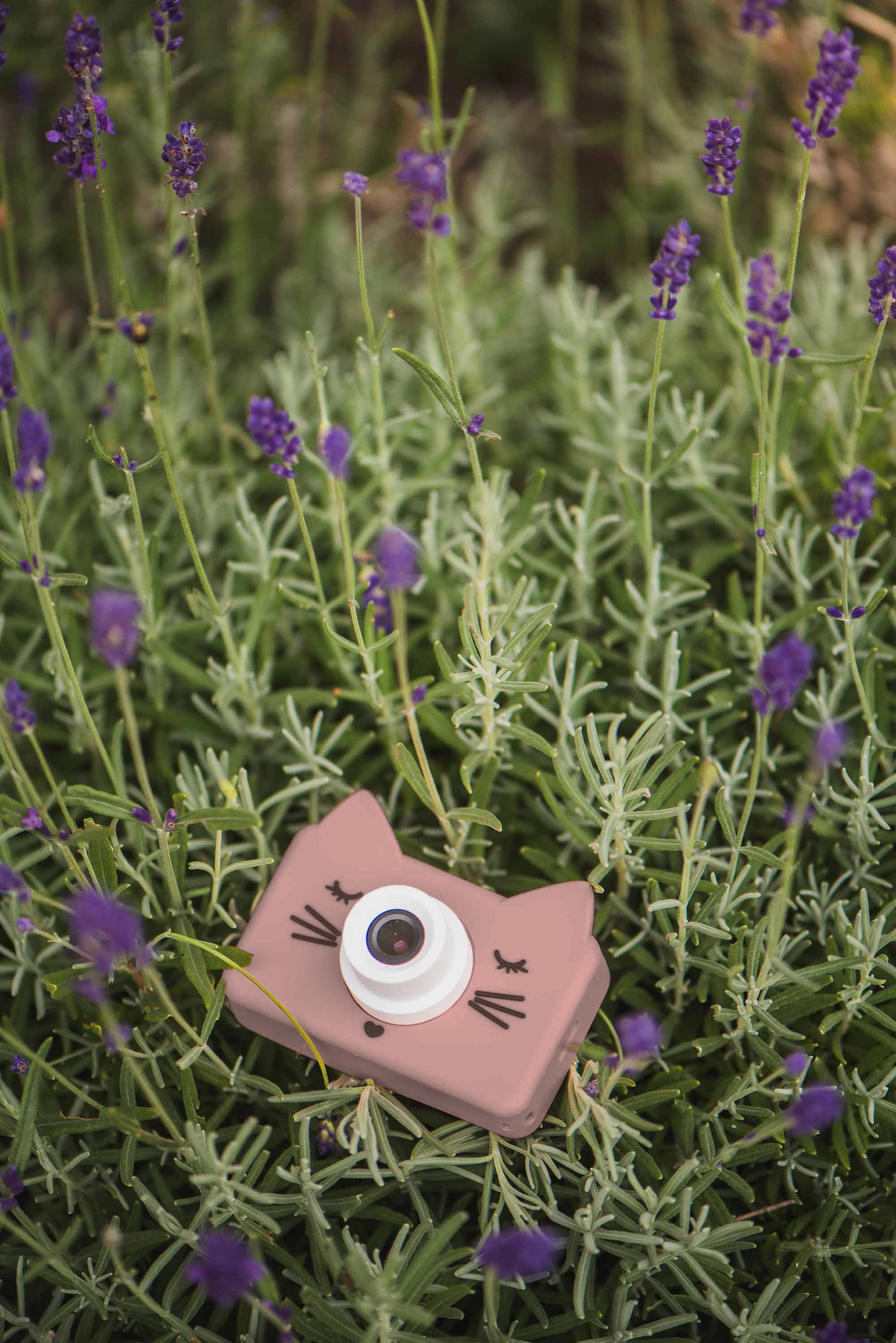 cat kids digital camera, lying between the flowers in the garden