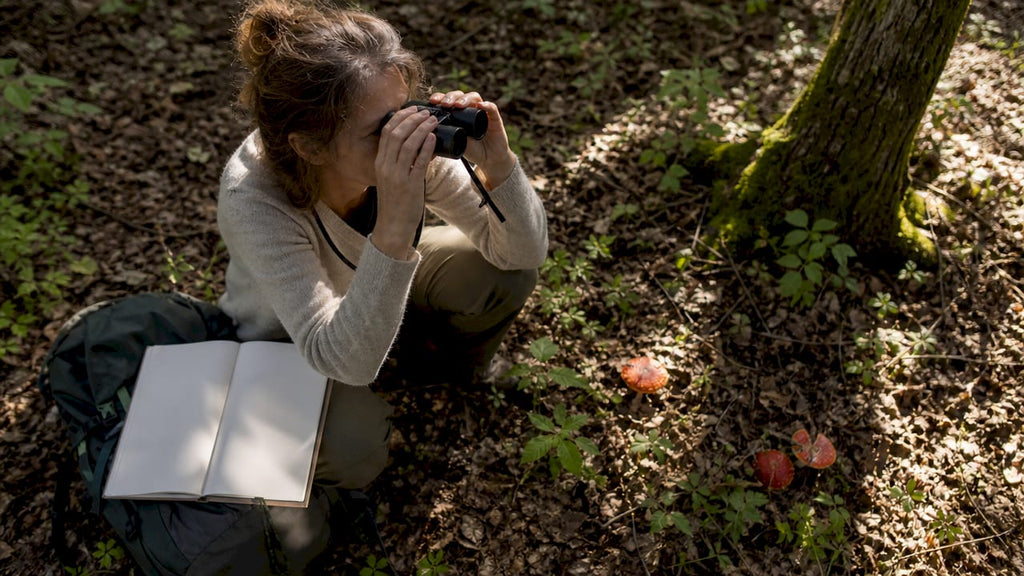 Pourquoi utiliser appareils optiques pour explorer la nature