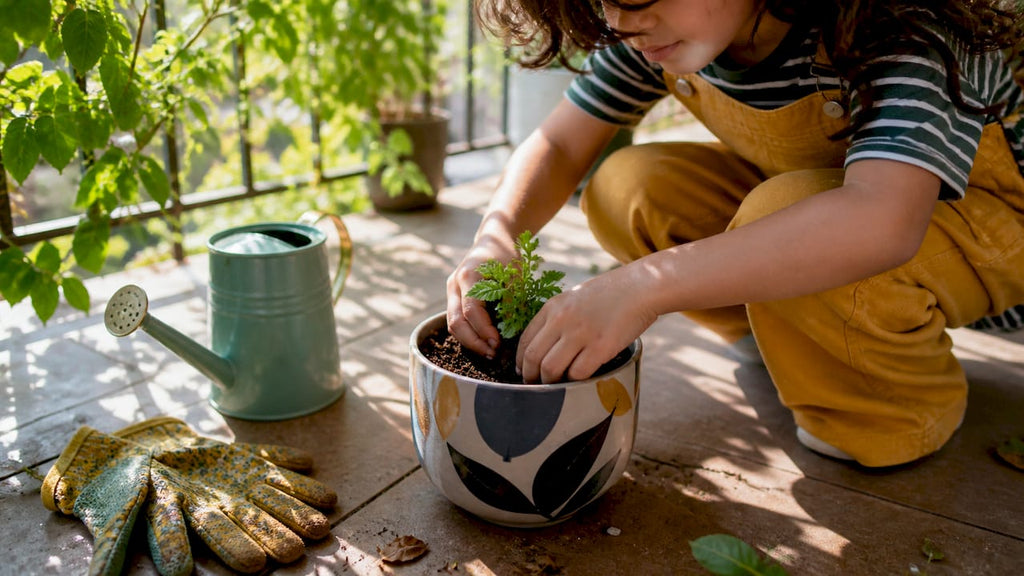 How to grow herbs: a beginner's guide