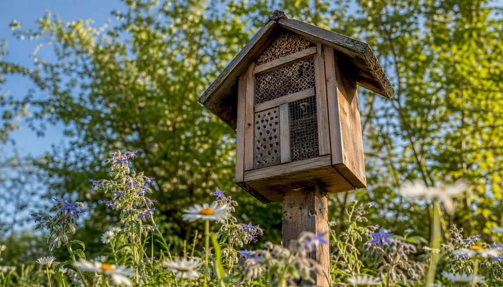 Cabane à insectes : fabriquer ou acheter pour la biodiversité