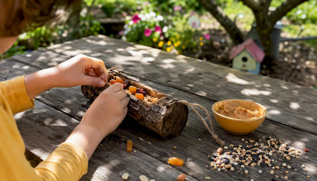 Making a bird feeder with kids: easy, eco-friendly ideas