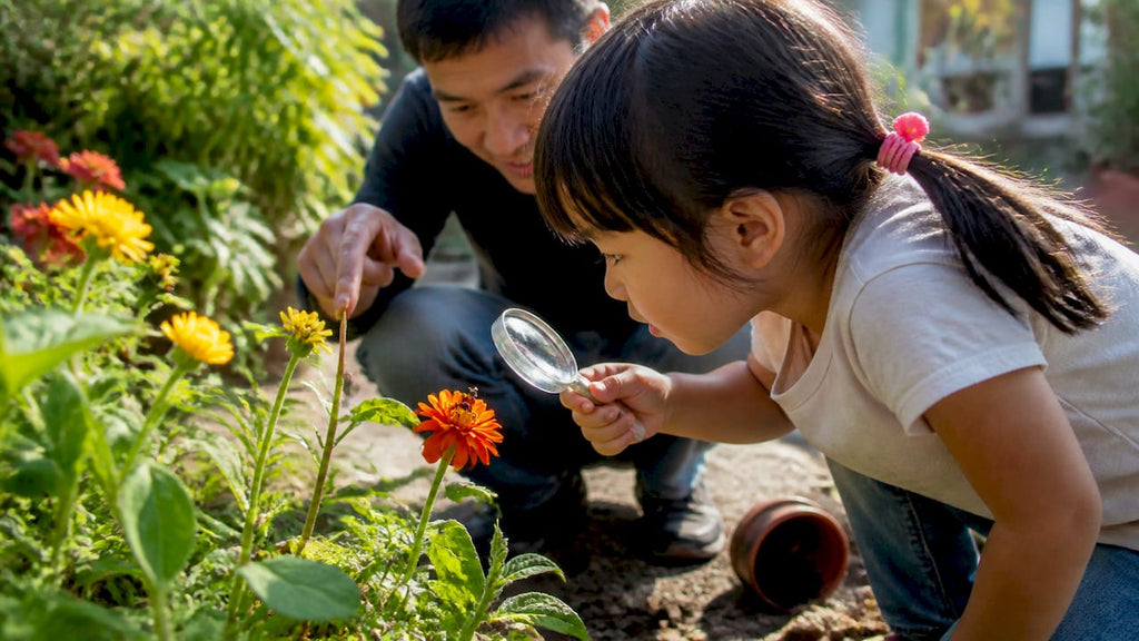 How to identify garden bugs with children in six easy steps