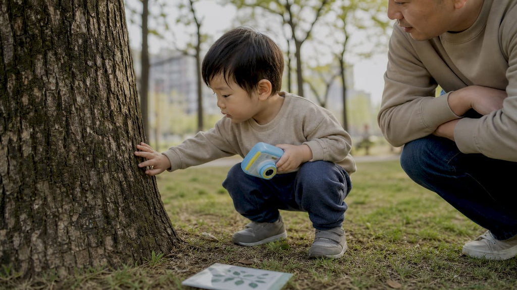 Comment reconnaître les arbres : le guide activités pour enfants