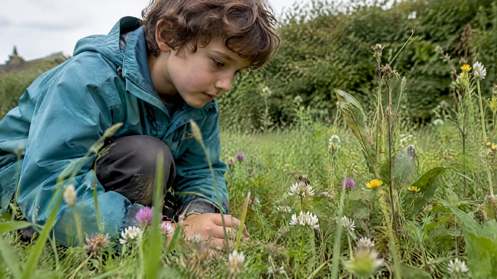 Découvrir la biodiversité locale : le guide pratique pour agir dès aujourd'hui