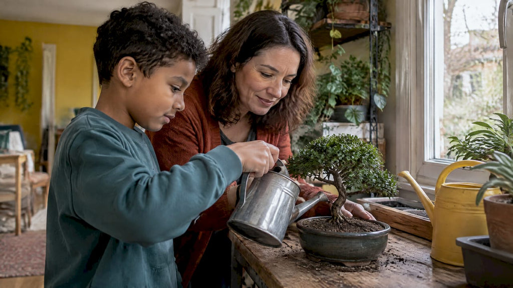Bonsai Family: Types, Meaning and Growing One Together