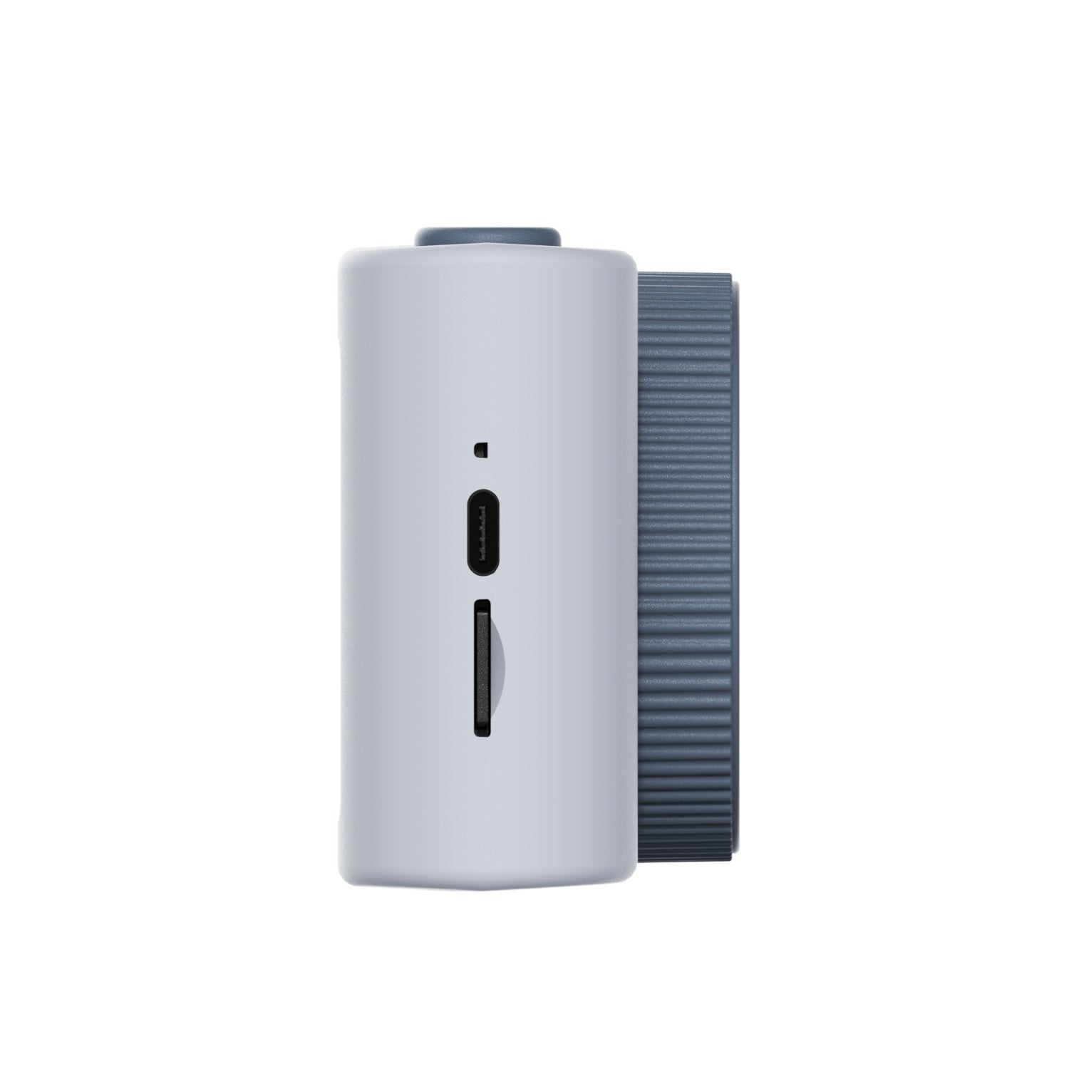 Urban Zoo –  Wasbeer 