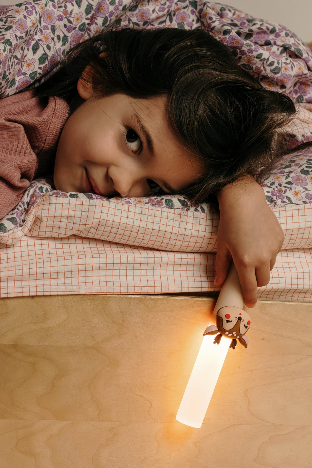 Cerf lumineux du zoo