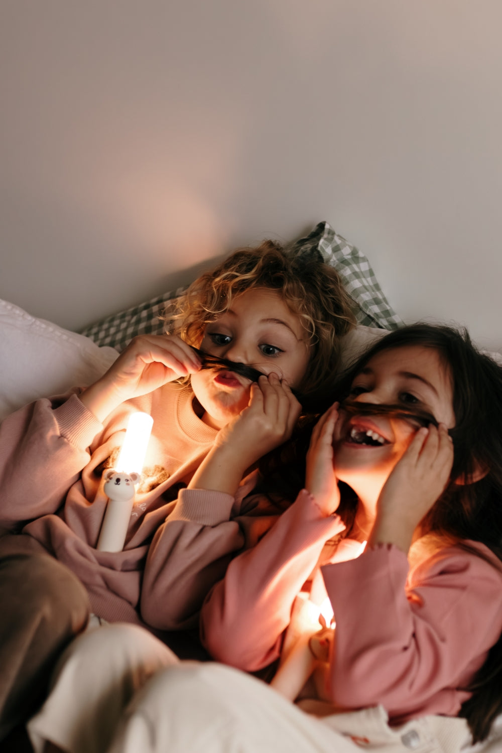 Koala lumineux du zoo