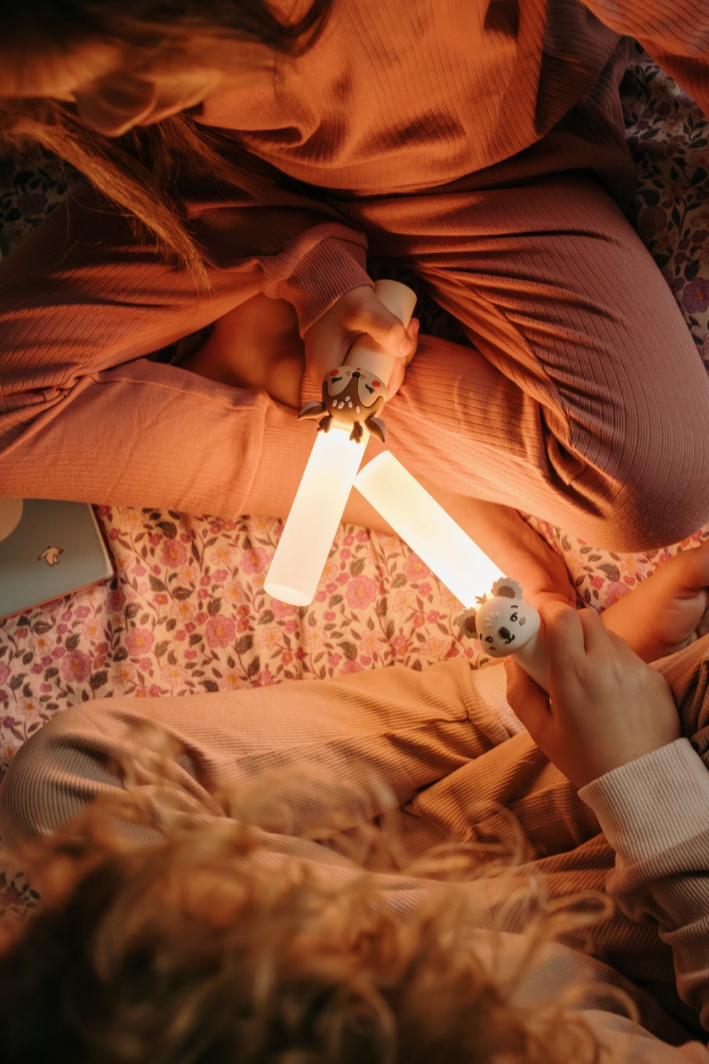 Koala lumineux du zoo