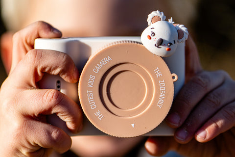 Zoo Urbain - Koala - hover