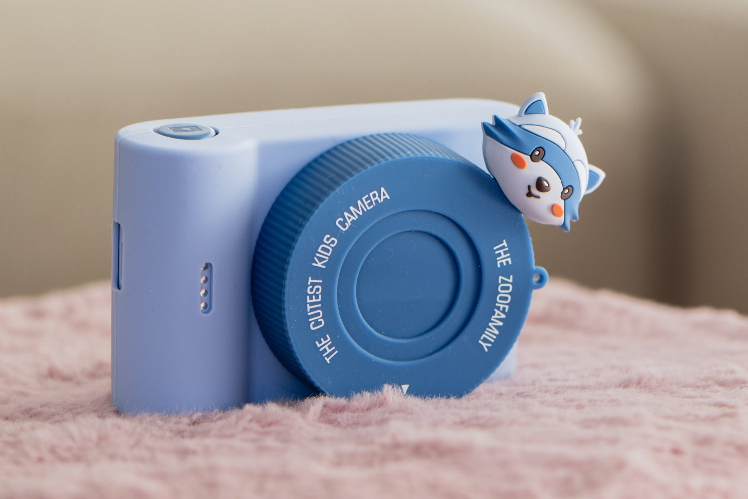 Urban Zoo –  Wasbeer 