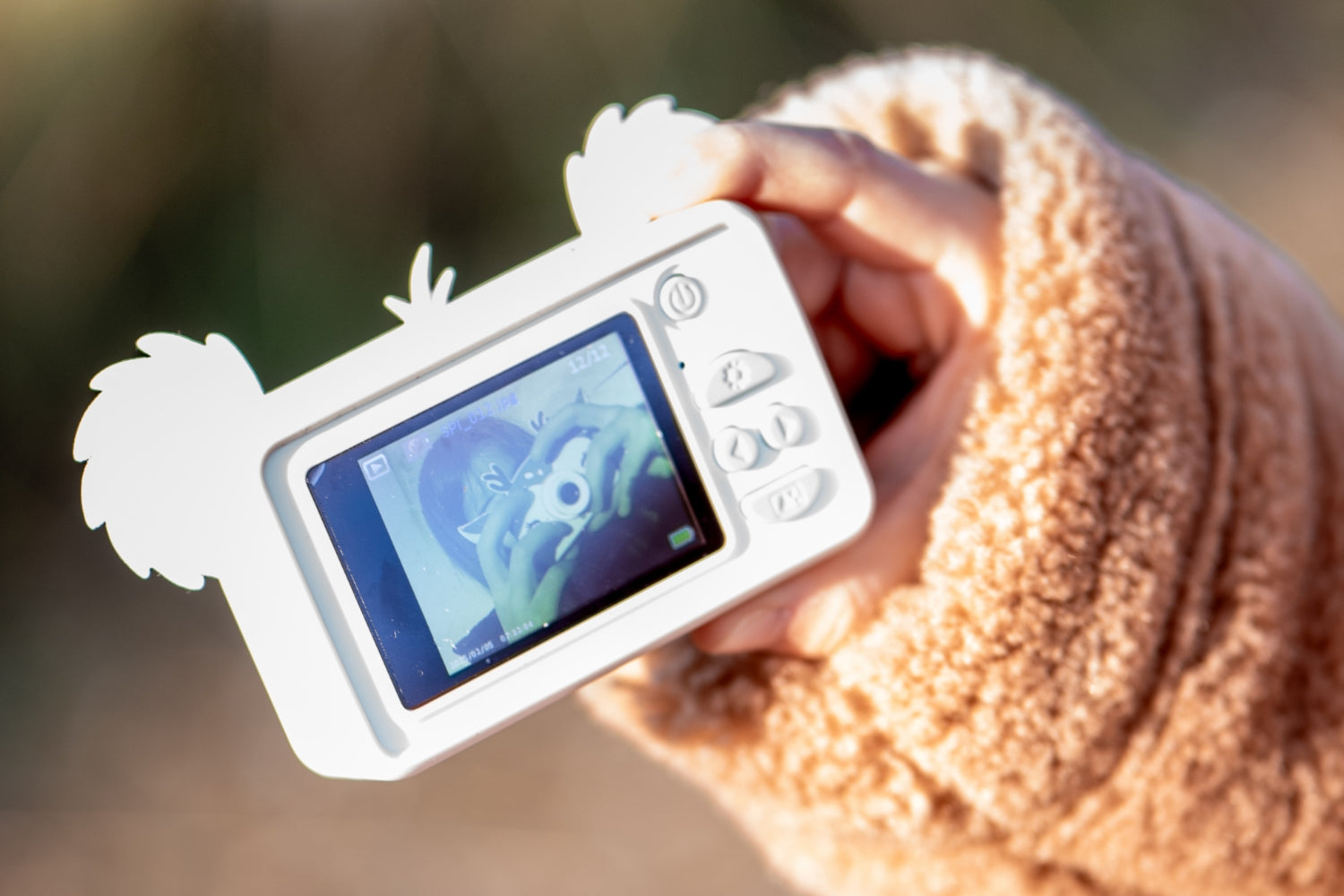 Les amis du zoo - Koala