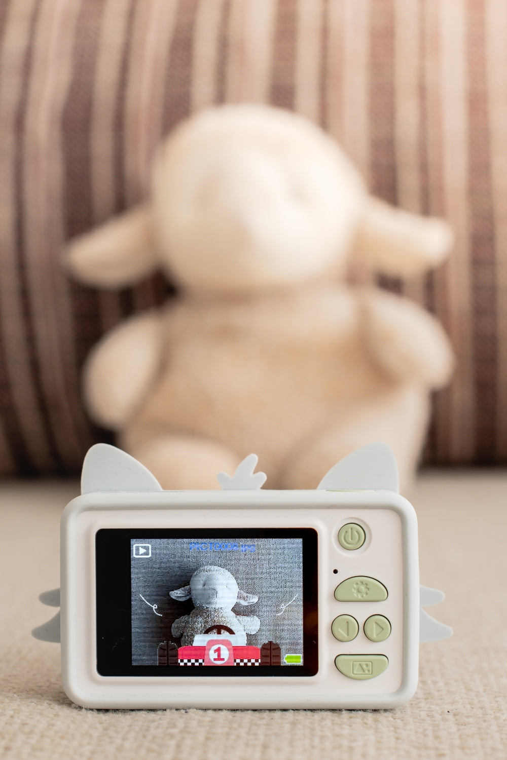 Zoo Friends – wasbeer