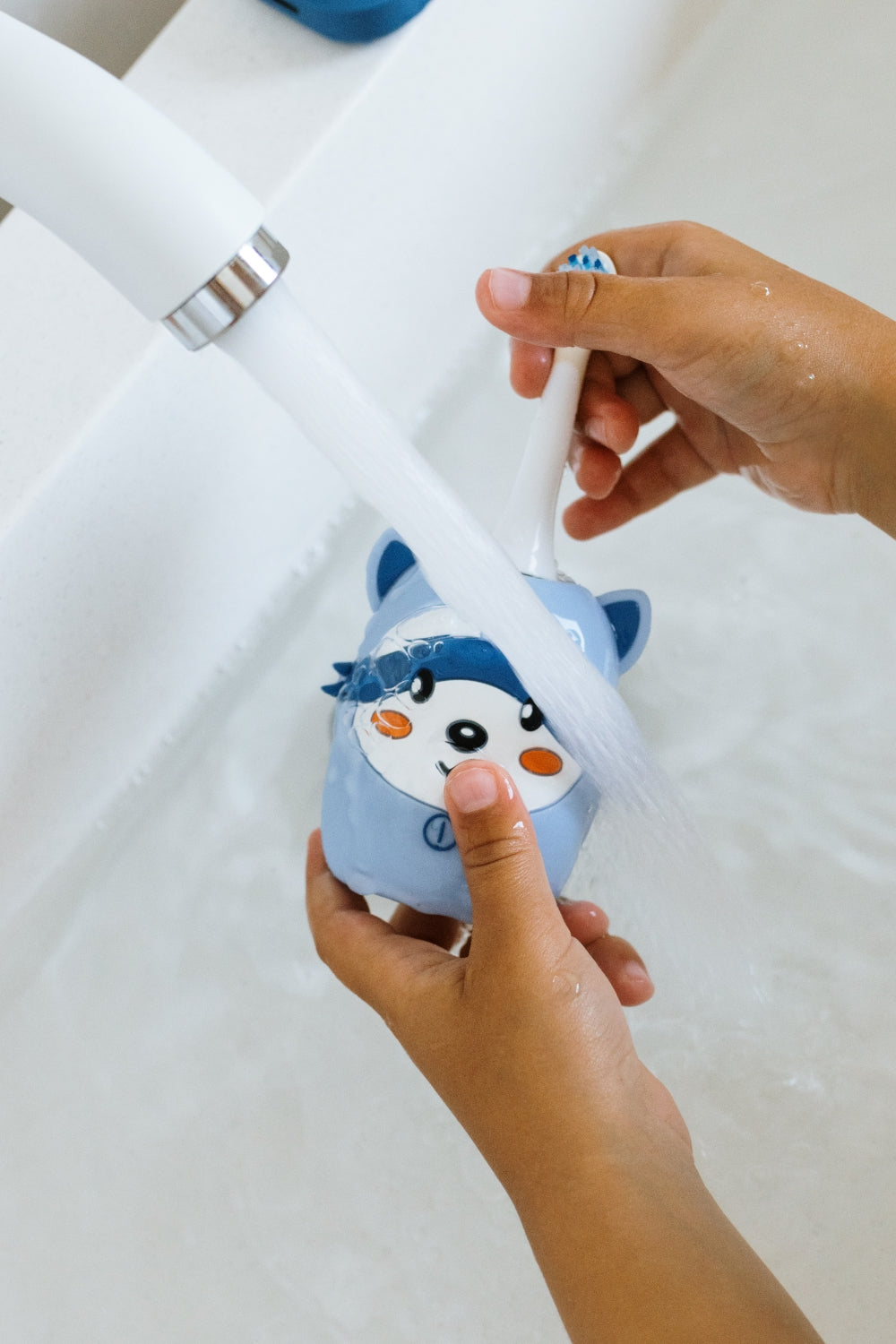 Zoo Toothbrush Raccoon