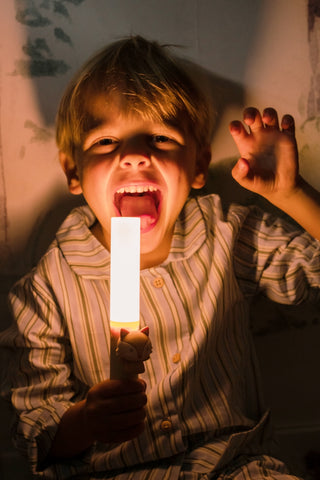 Zoo Light Fox - hover