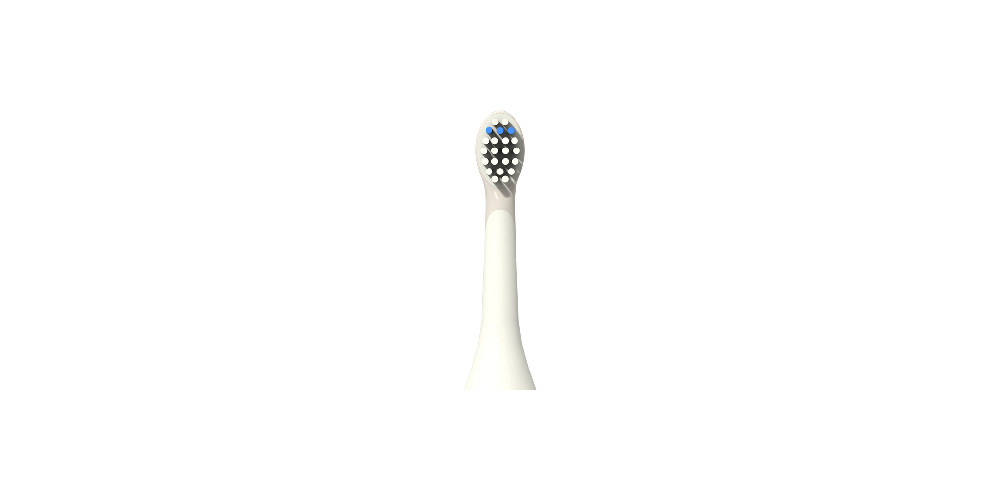 Zoo Toothbrush Bristle set of 2