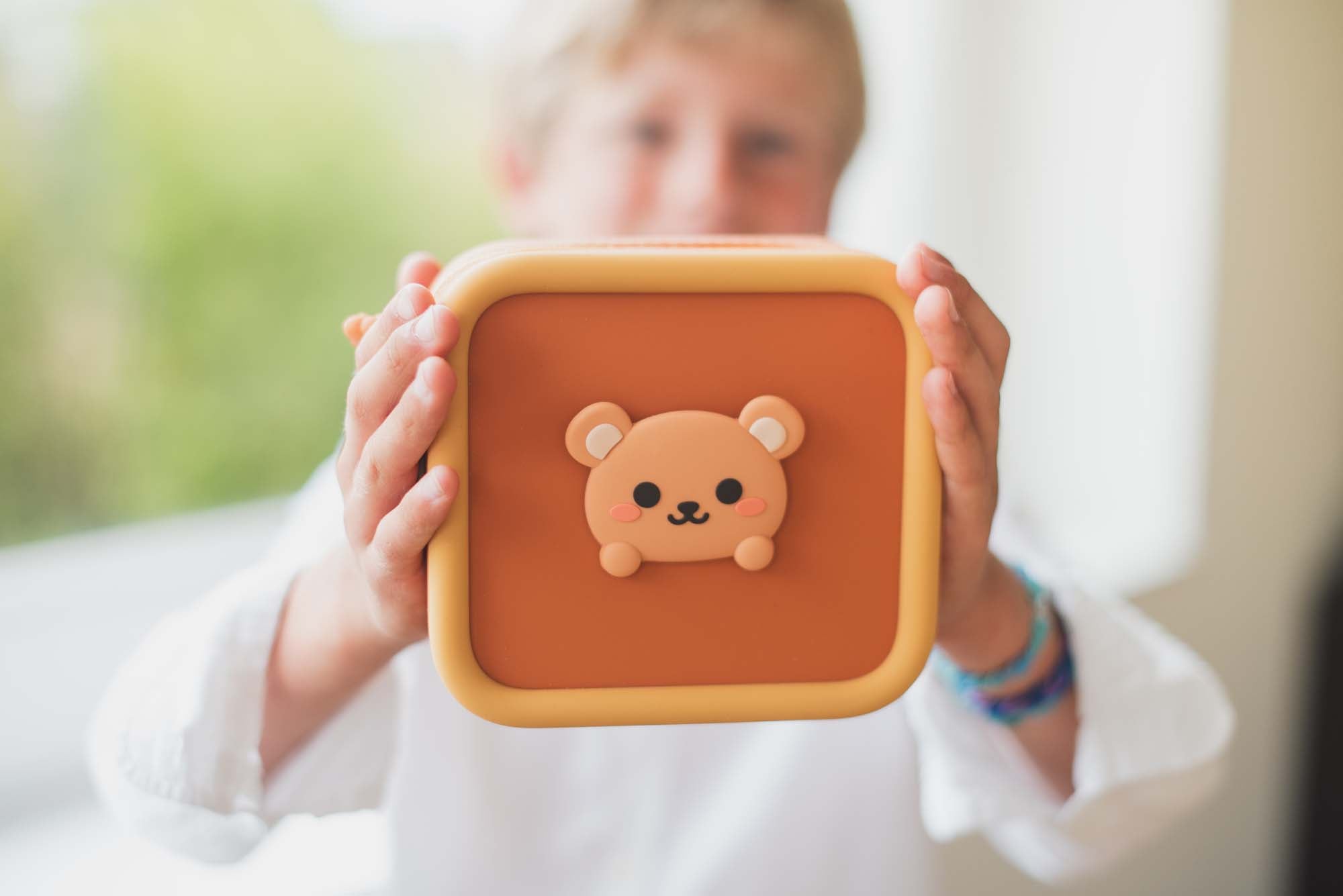 Silicon Bags Bear The Zoofamily