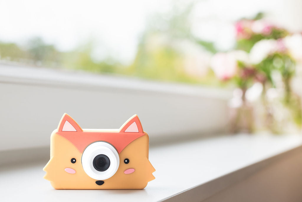 fox kids camera standing on window sill