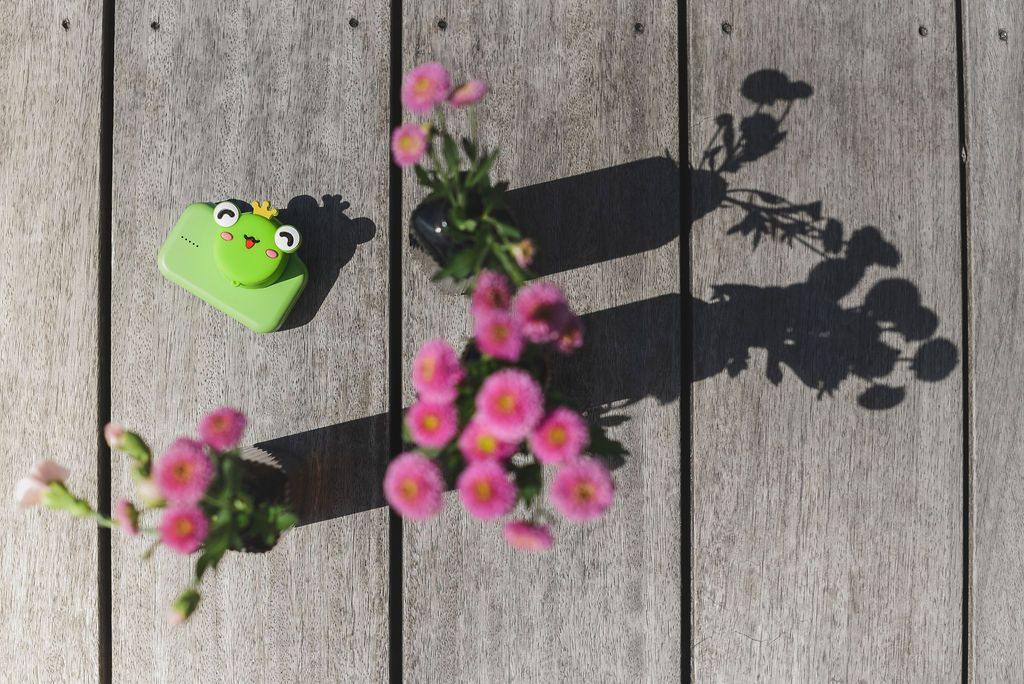 digital kids camera prince frog green cartoon collection flowers