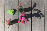 odaldigital kids camera prince frog green cartoon collection flowers